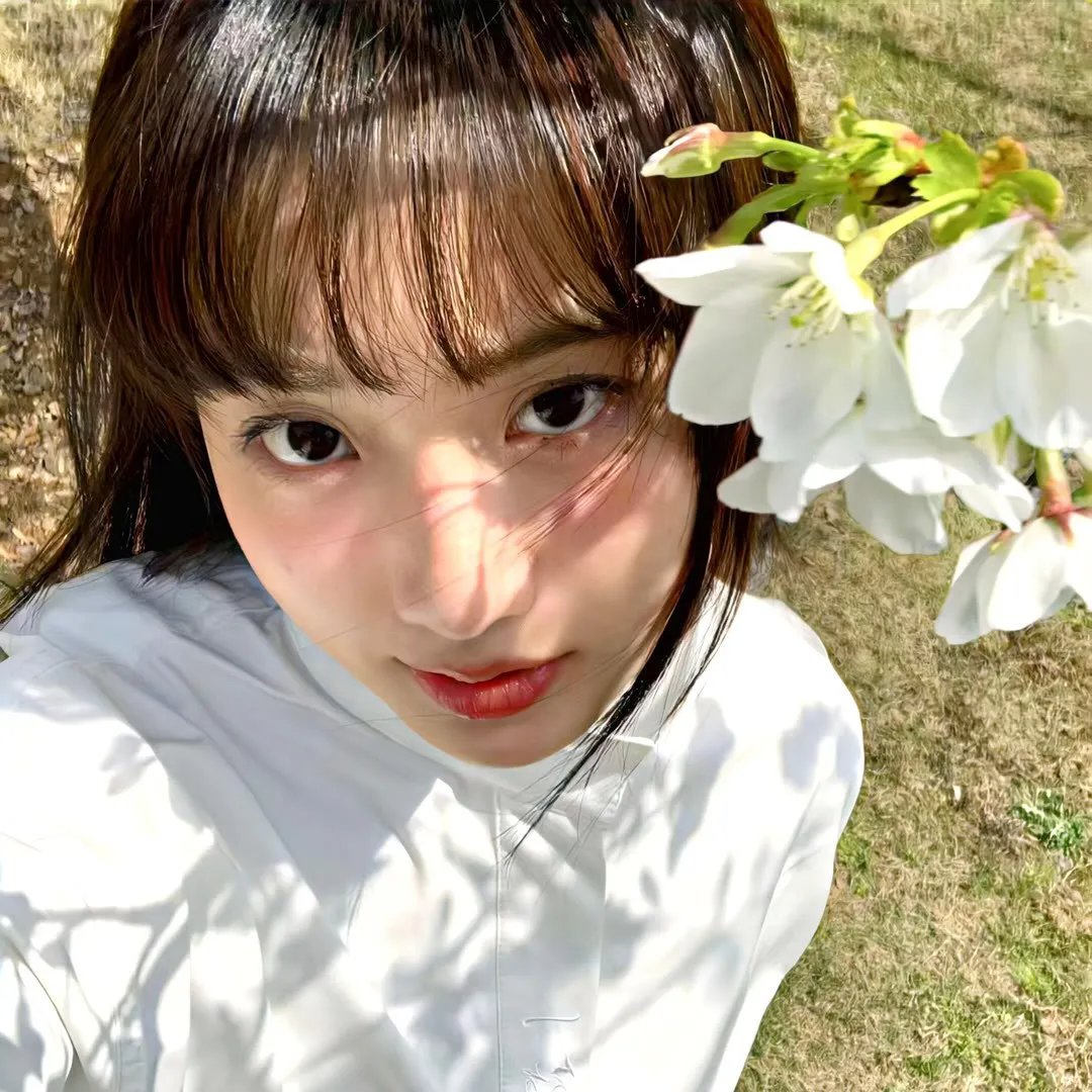 爱晚情